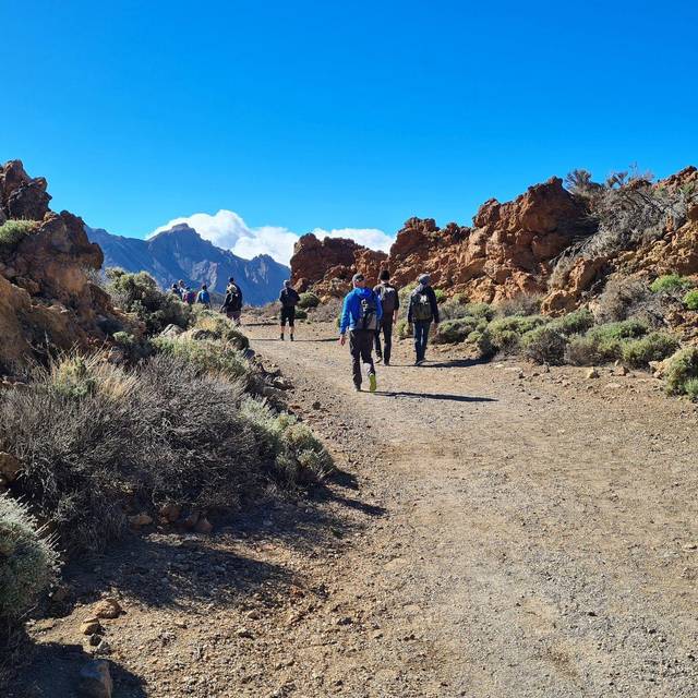 Vulkanlandschaft auf Teneriffa