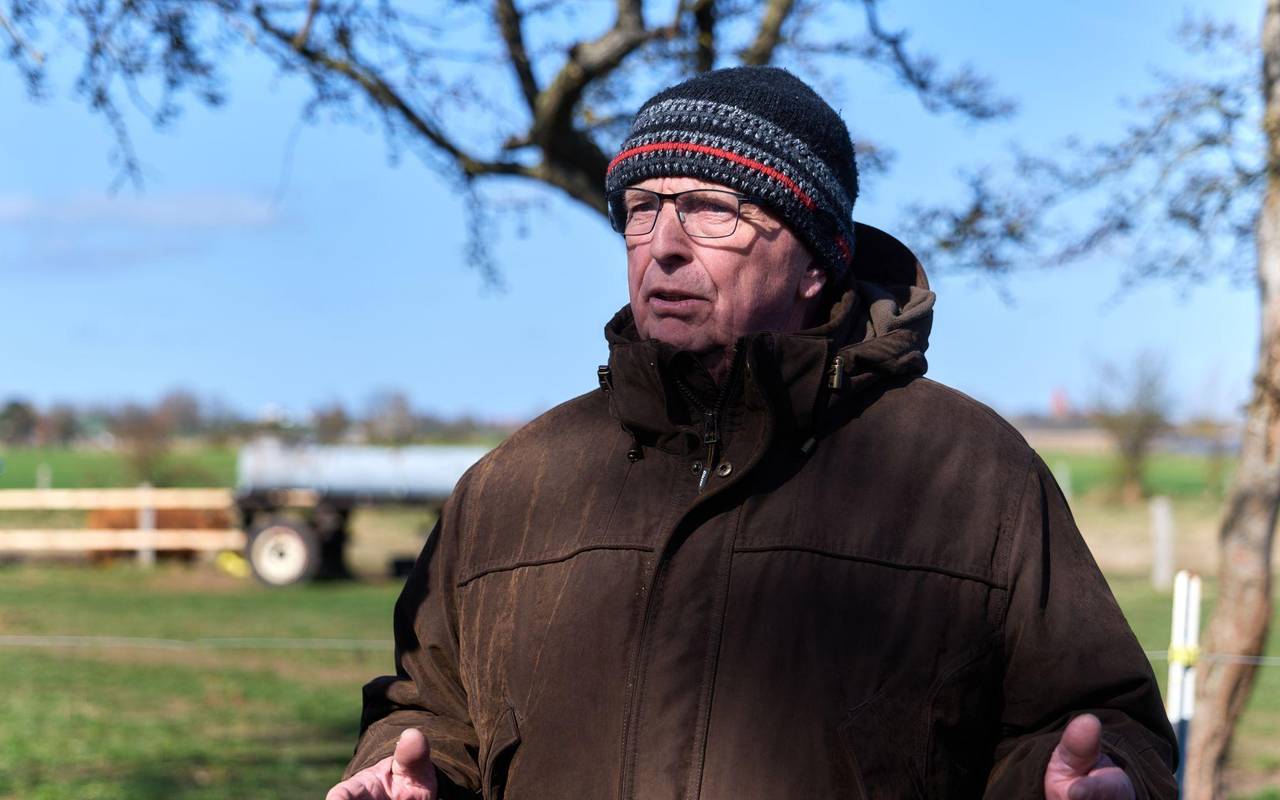 Buckelwal liegt weiter in Wismarbucht