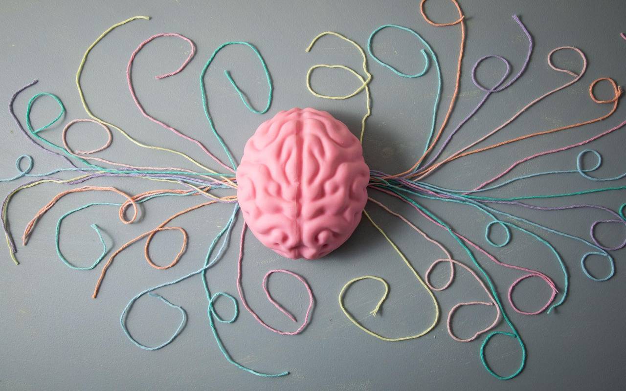 Symbolbild Gehirn