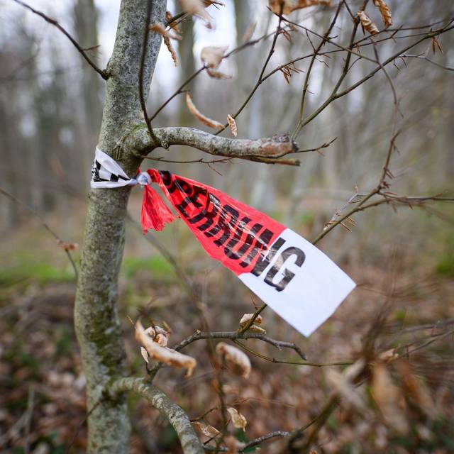 Baum umgestürzt - Drei Tote bei Flensburg