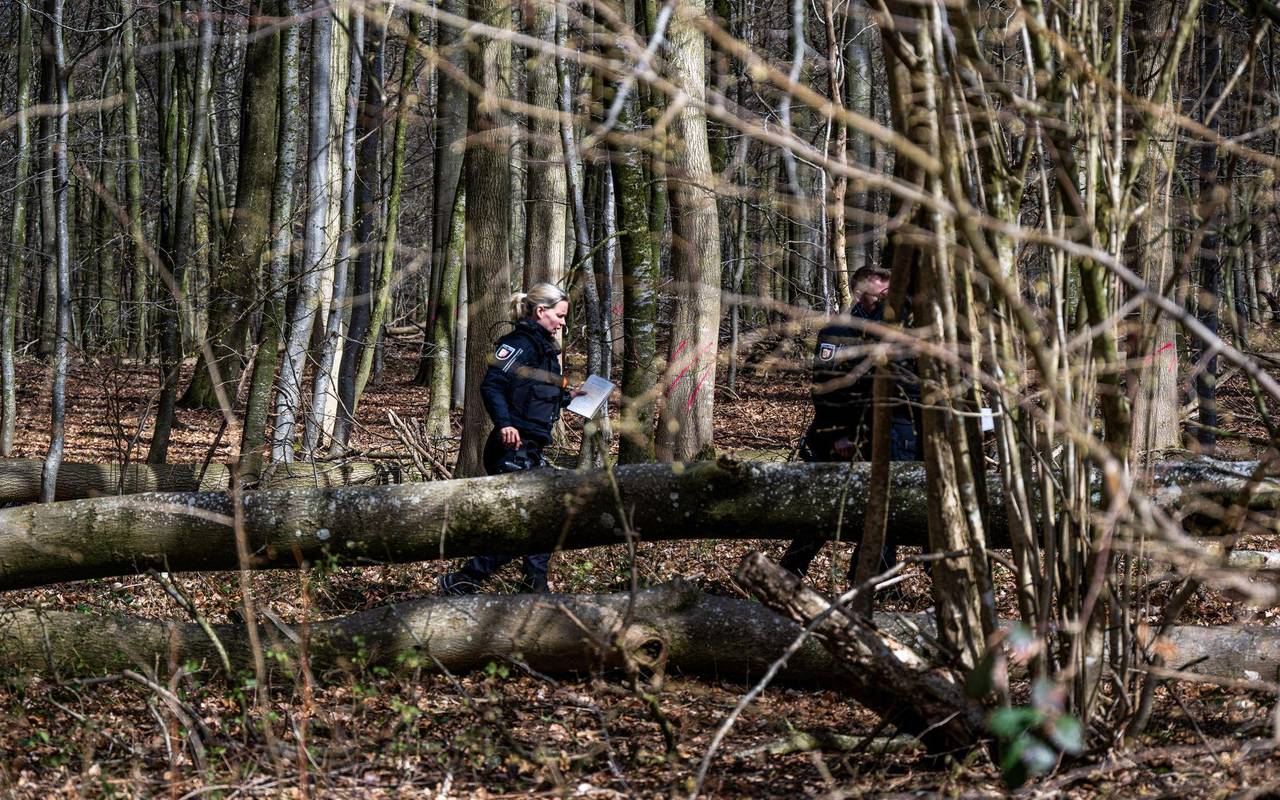 Baum umgestürzt – Drei Tote bei Flensburg
