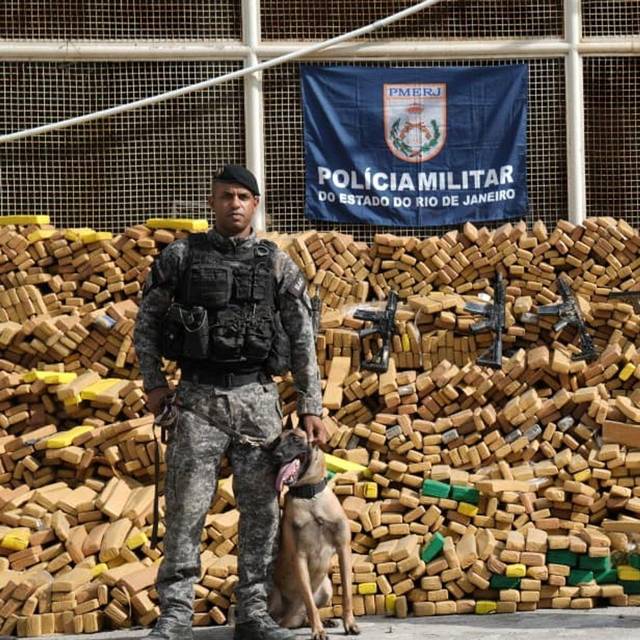 Rekordfund in Rio: Fast 50 Tonnen Marihuana
