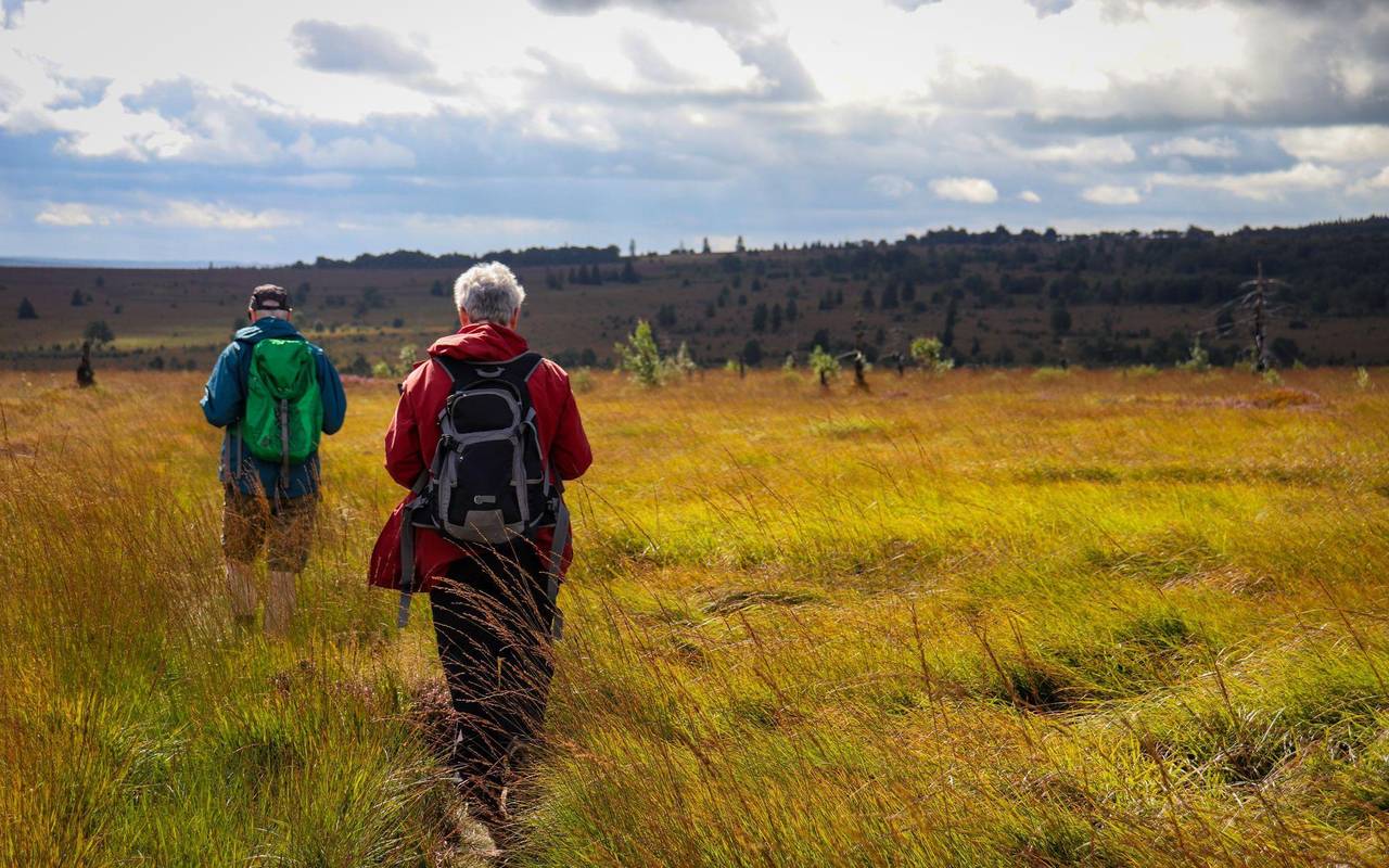 Wanderer im Hochmoor