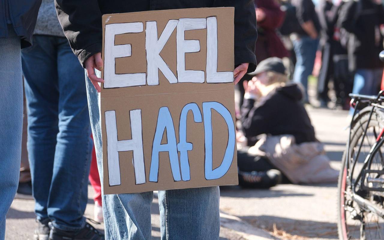 Landesparteitag AfD Sachsen-Anhalt - Proteste