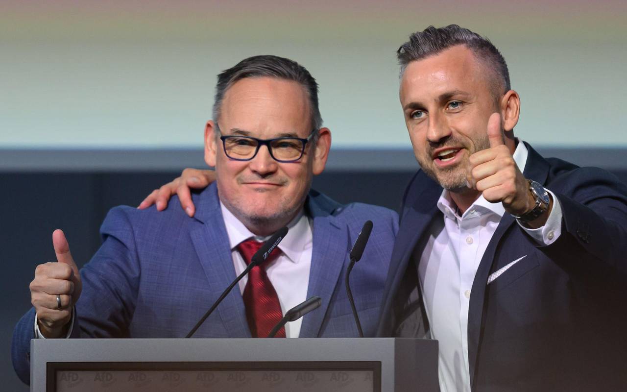 Landesparteitag AfD Sachsen-Anhalt