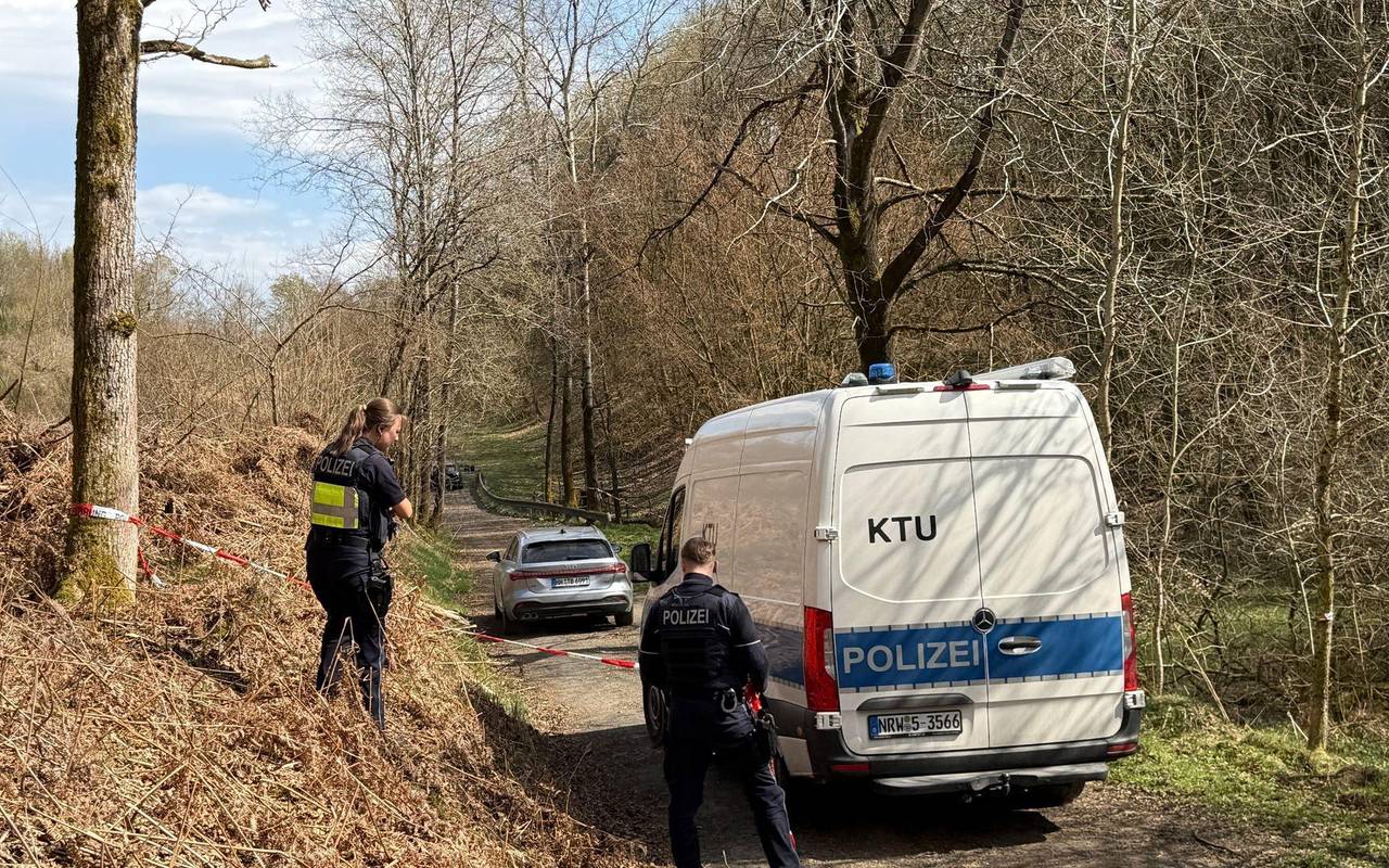 Menschlicher Kopf gefunden - Mordkommission ermittelt