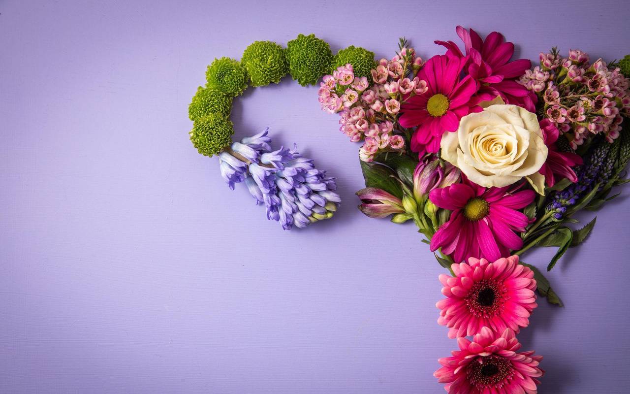 Weibliche reproduktives System aus Blumen