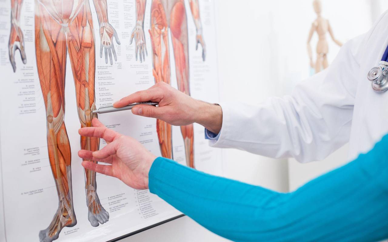 Ein Arzt zeigt auf ein Knie auf einem Bild