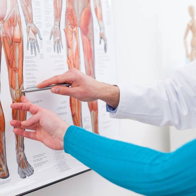 Ein Arzt zeigt auf ein Knie auf einem Bild