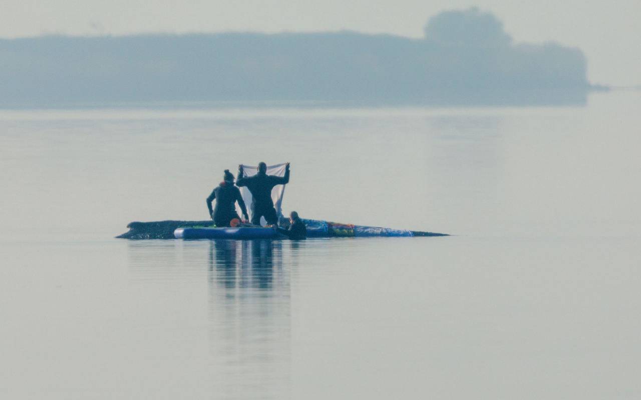 Rettungsaktion für den Buckelwal