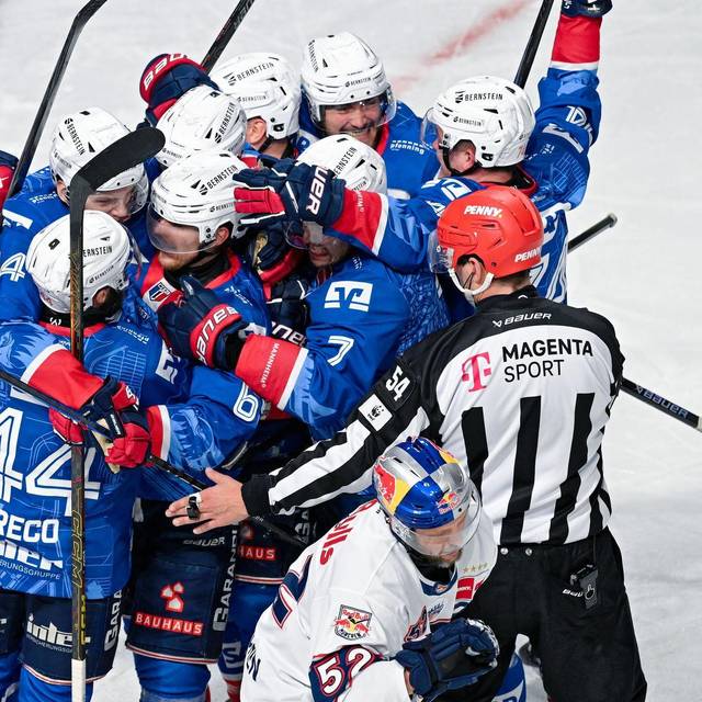Die Spieler der Adler Mannheim