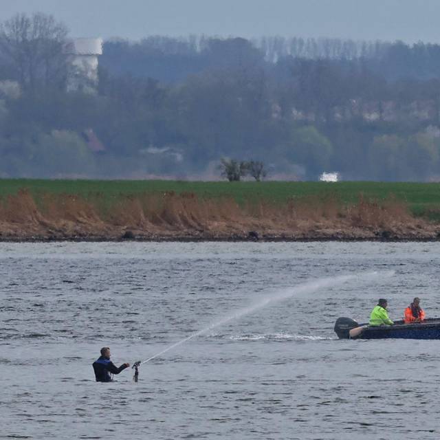 Rettungsaktion für den Buckelwal