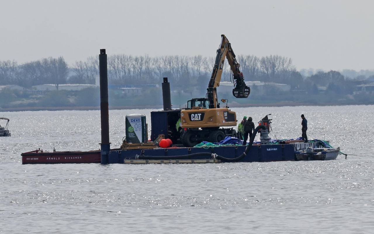 Rettungsaktion für den Buckelwal