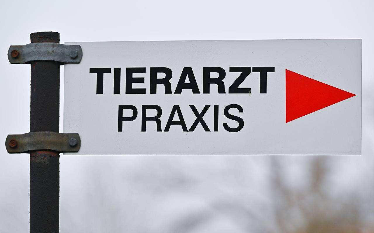 Tierarzt - Praxis