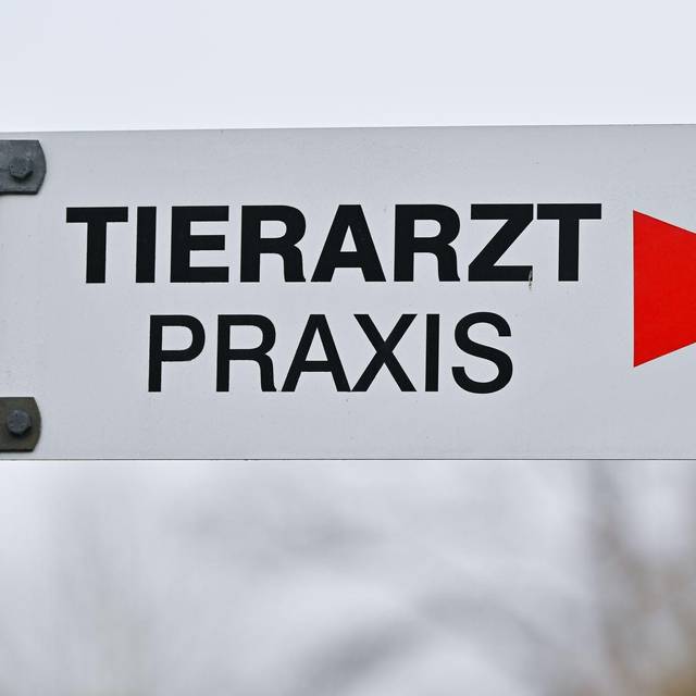 Tierarzt - Praxis