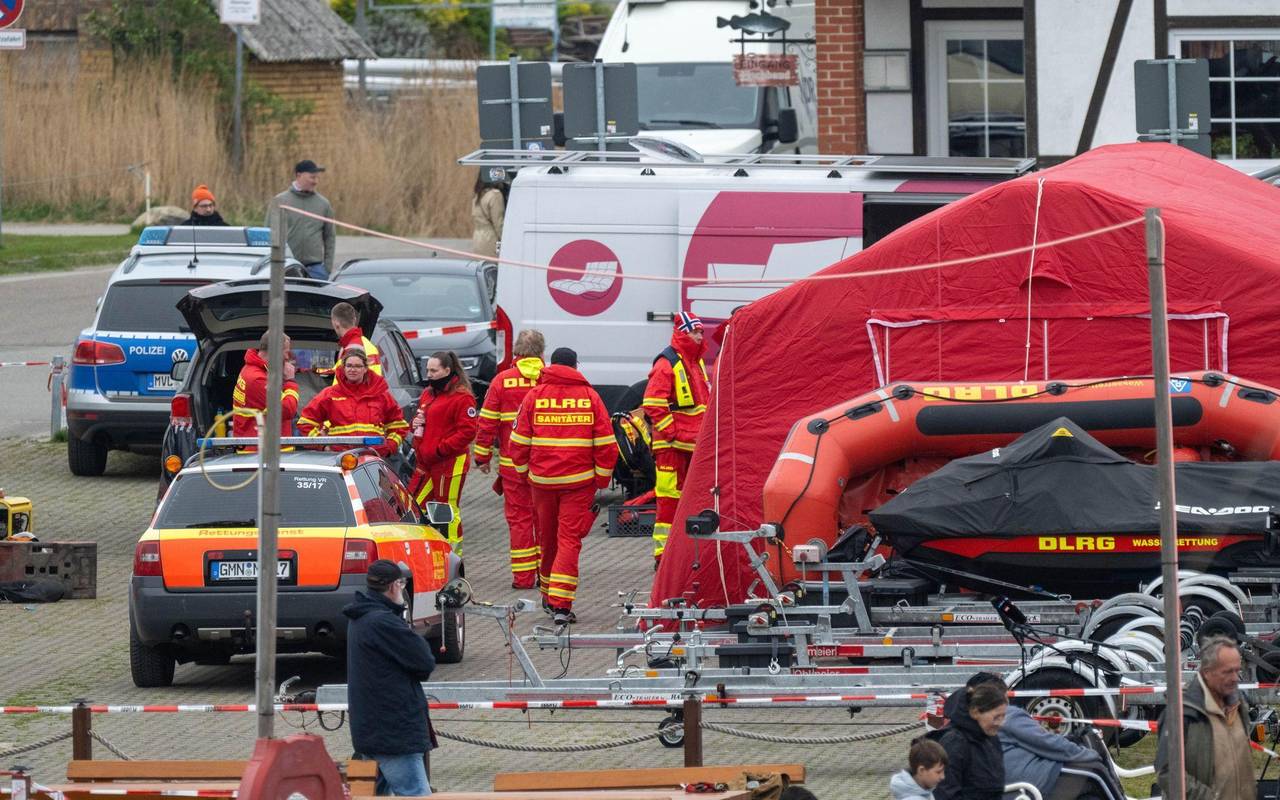 Rettungsaktion für den Buckelwal