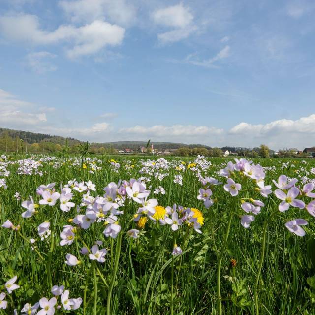 Wetter in Baden-Württemberg
