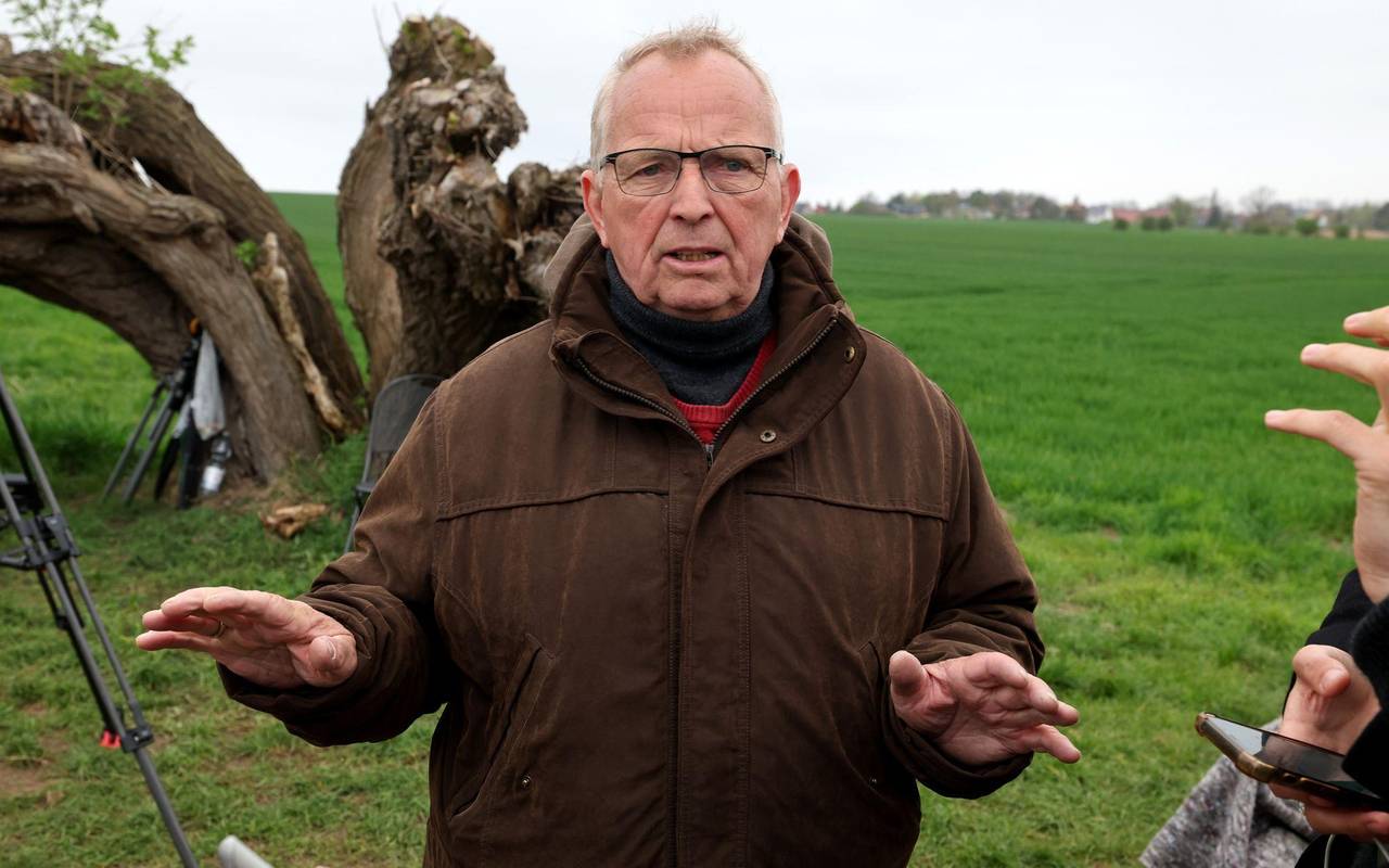Rettungsaktion für den Buckelwal