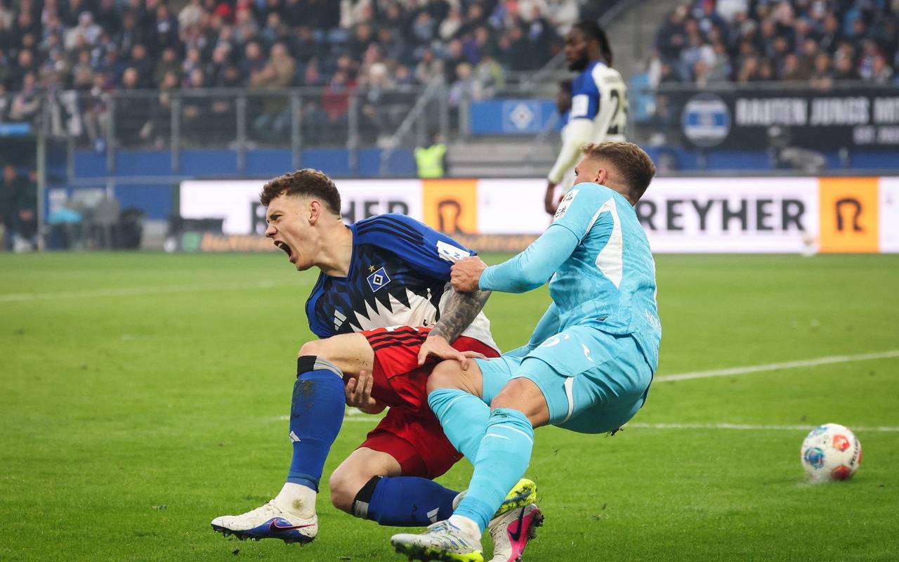 Hamburger SV - TSG 1899 Hoffenheim