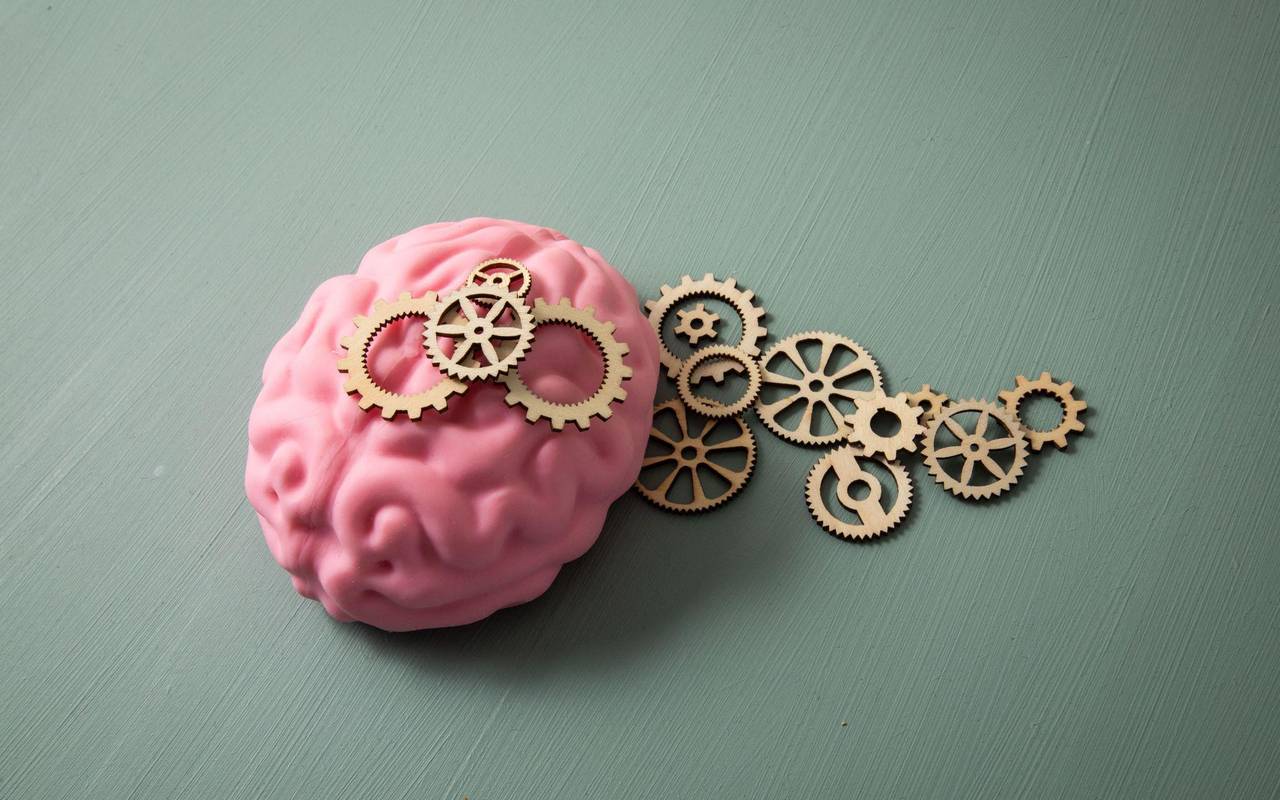 Das Modell eines Gehirns liegt neben zahlreichen Zahnrädern