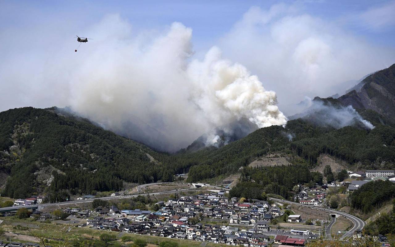 Waldbrand im Nordosten Japans