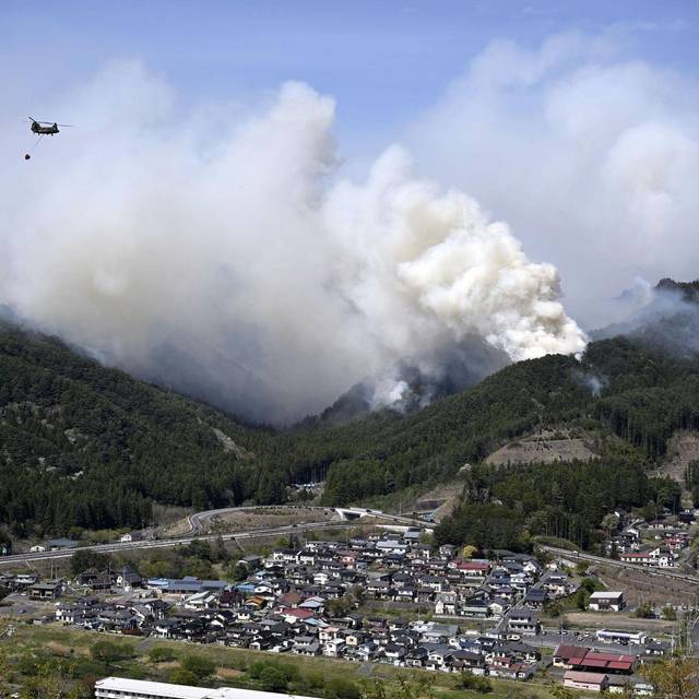 Waldbrand im Nordosten Japans