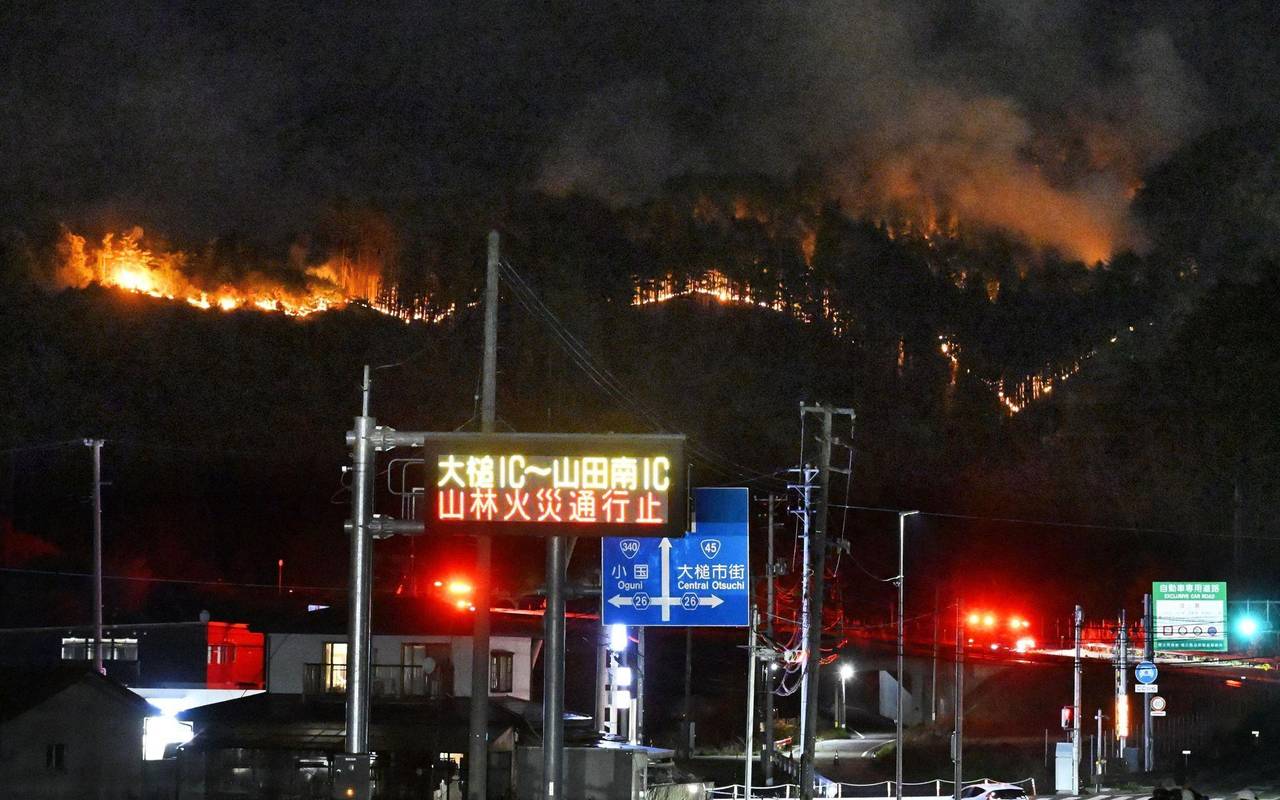 Waldbrand im Nordosten Japans