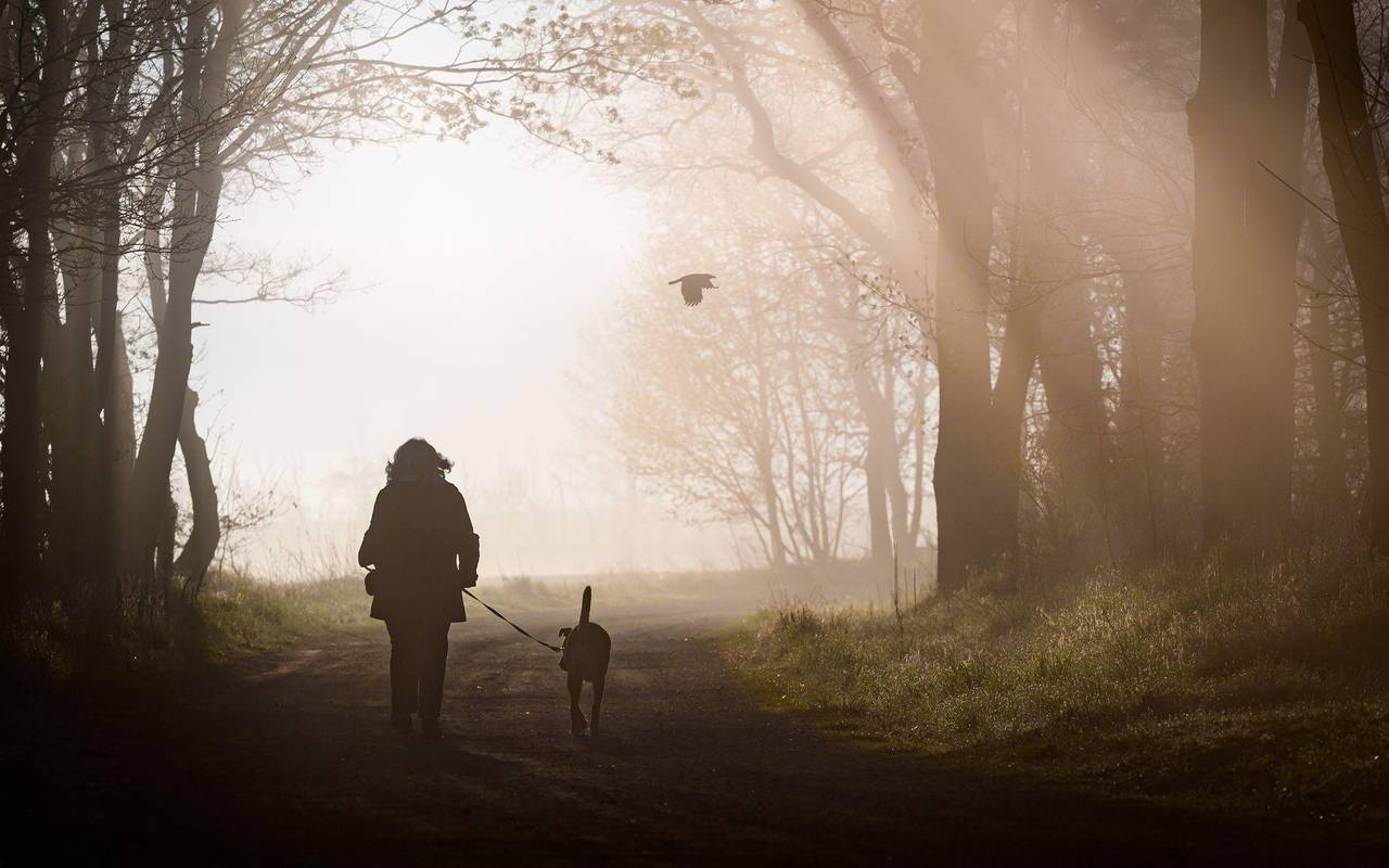 Morgenstimmung in Brandenburg