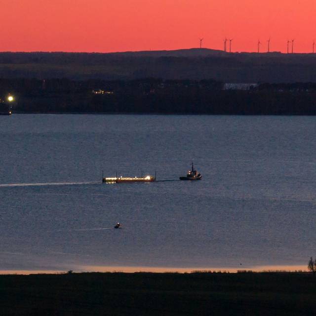 Weitere Entwicklung zum Buckelwal in der Ostsee