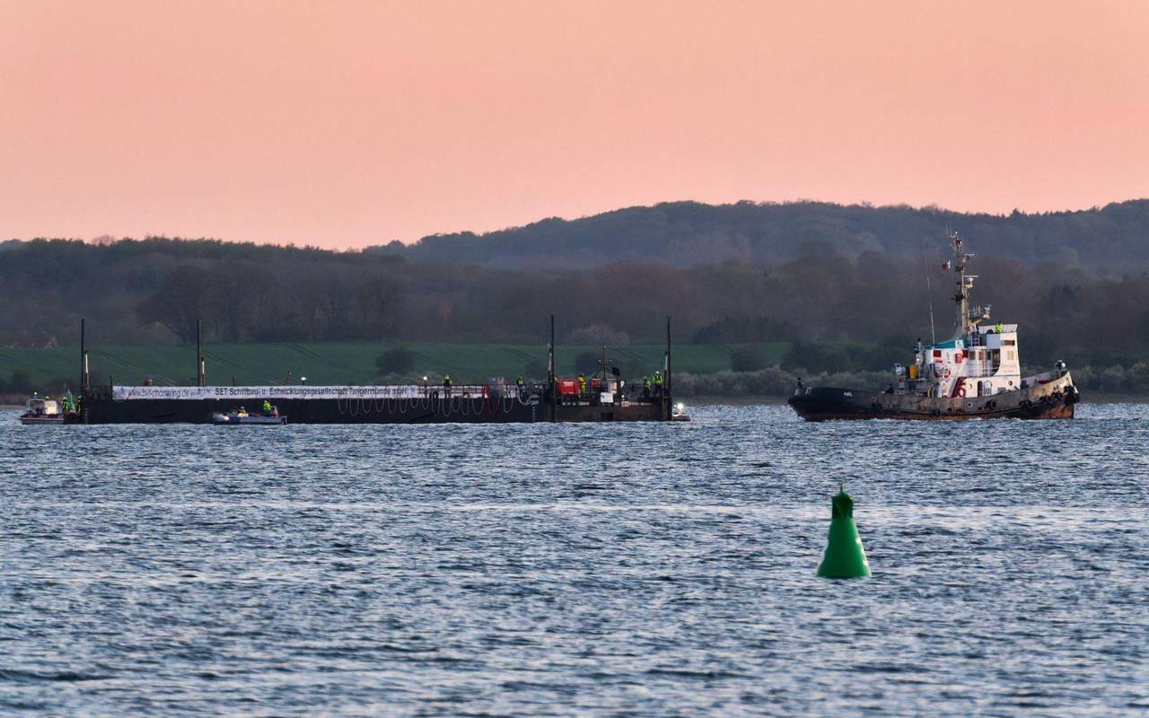 Weitere Entwicklung zum Buckelwal in der Ostsee