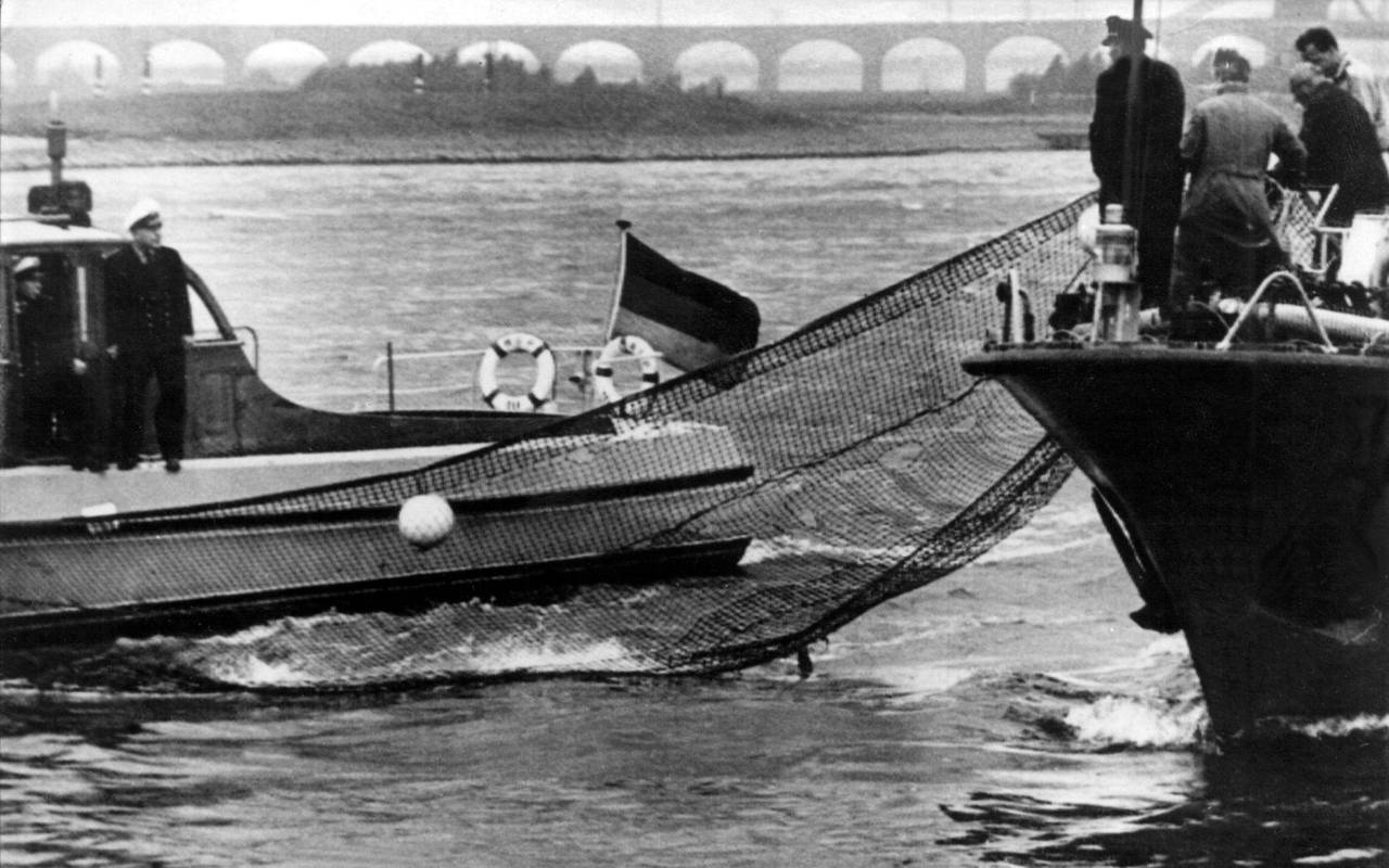 Sensation 1966 - Der weiße Wal im Rhein