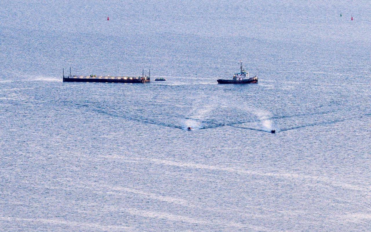 Weitere Entwicklung zum Buckelwal in der Ostsee