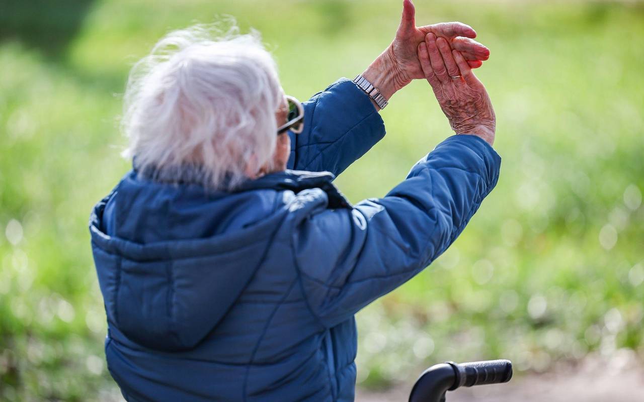 Yogastunde für Senioren im Schloßpark Köthen