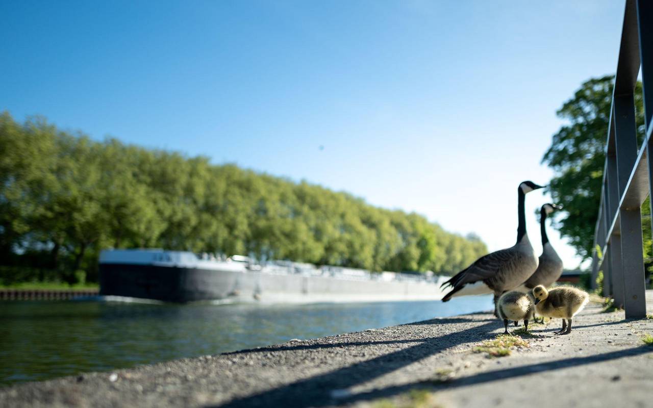 Wetter in Nordrhein-Westfalen