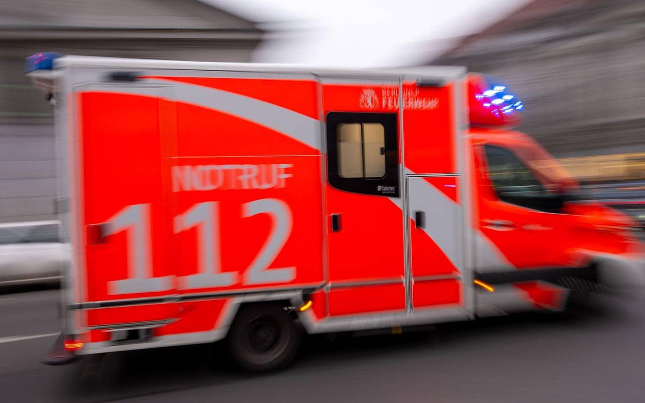 Mann bei Holztransport schwer verletzt