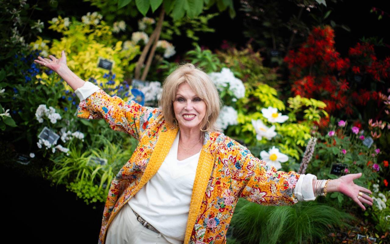 Nationalschatz und Comedy-Ikone: Joanna Lumley wird 80