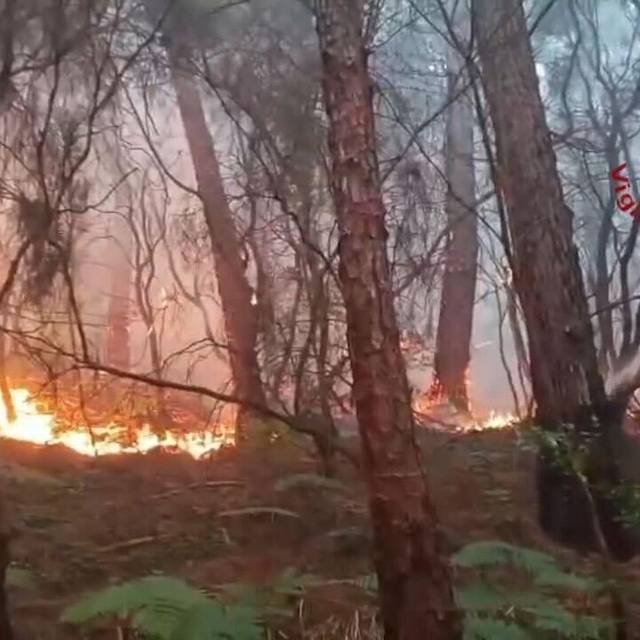 Waldbrand in der Toskana