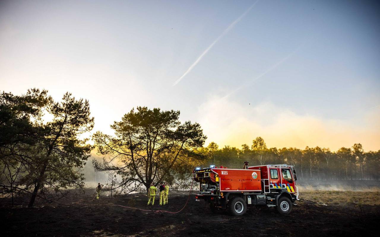 Naturbrände in den Niederlanden
