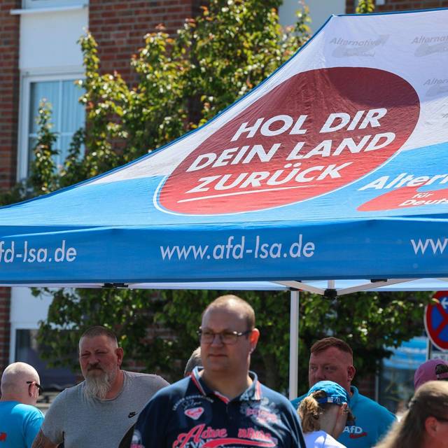 AfD-Familienfest