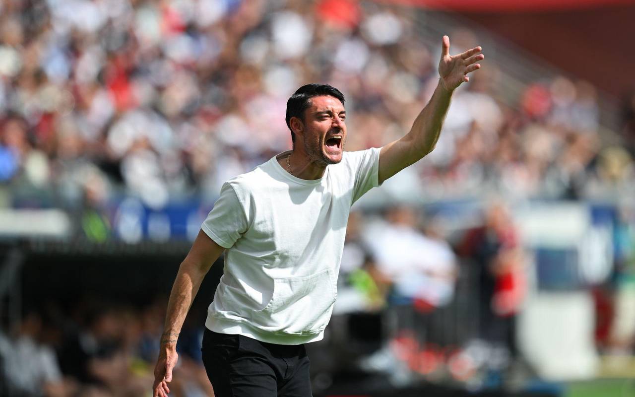 Eintracht Frankfurt - Hamburger SV