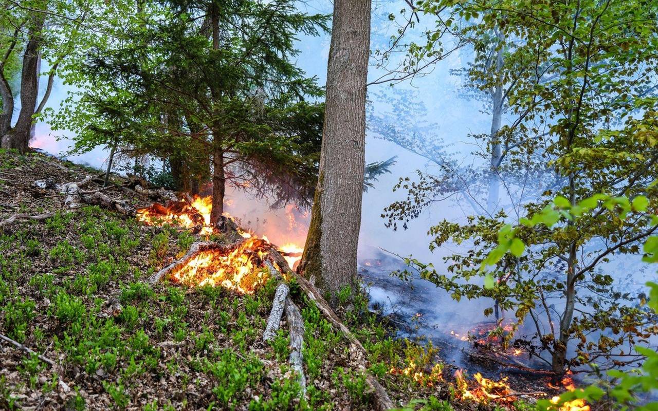 Waldbrand in Werdohl
