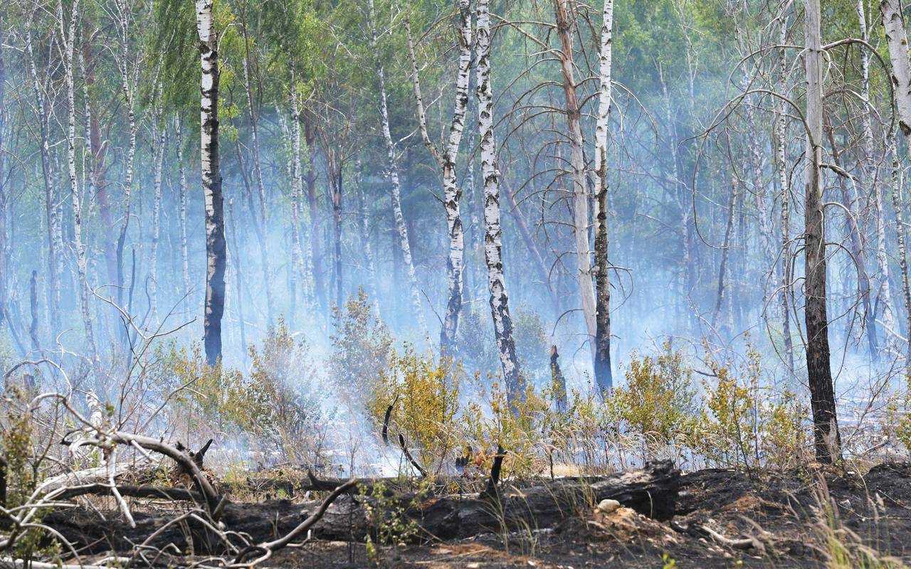 Waldbrand bei Jüterbog