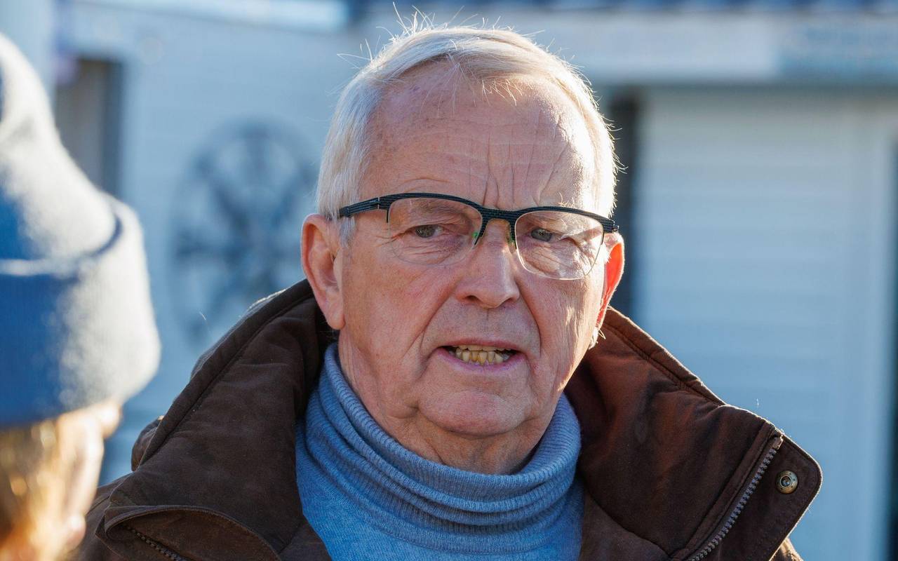 Weitere Entwicklung zum Buckelwal in der Ostsee