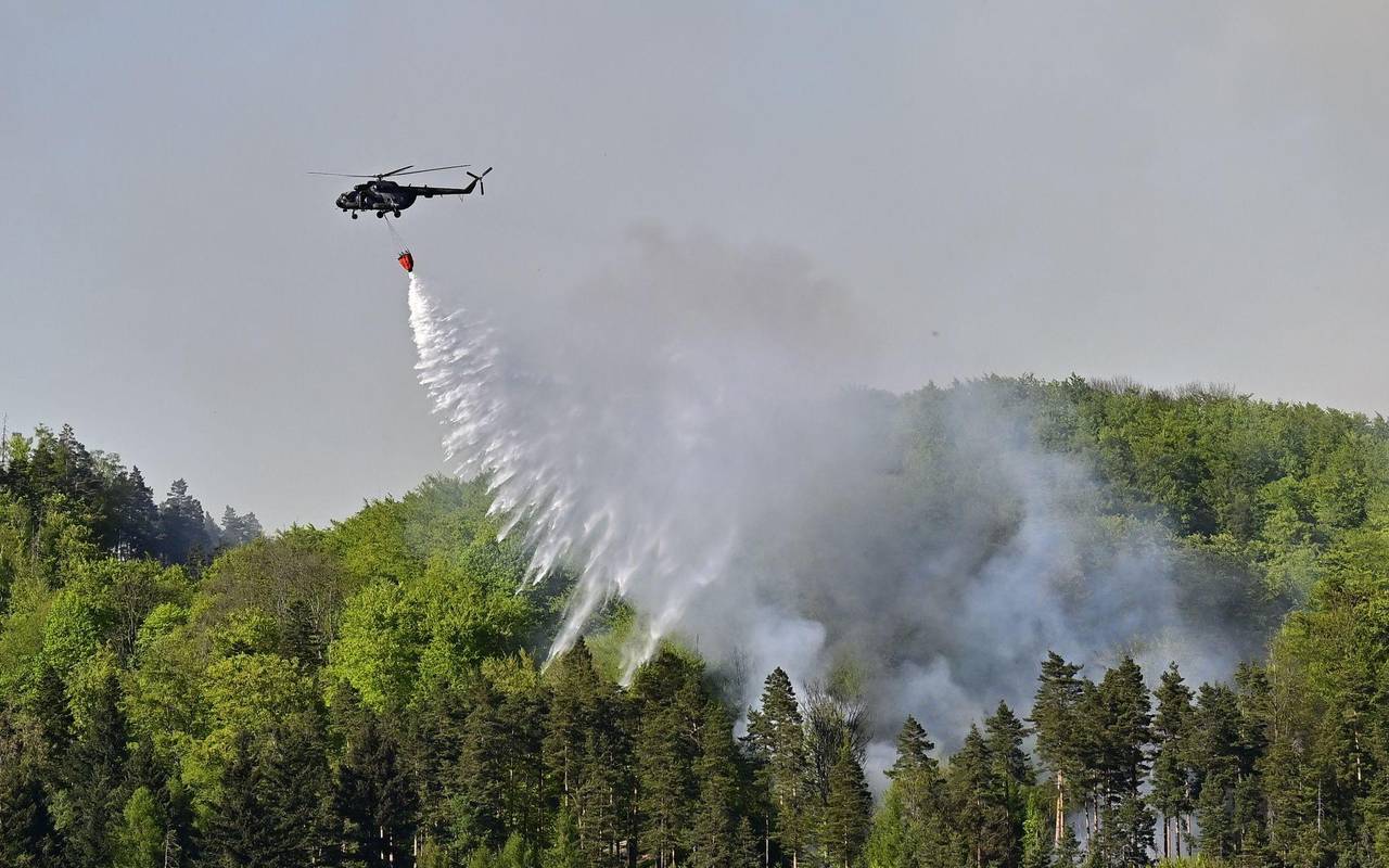 Waldbrand im Nationalpark Böhmische Schweiz