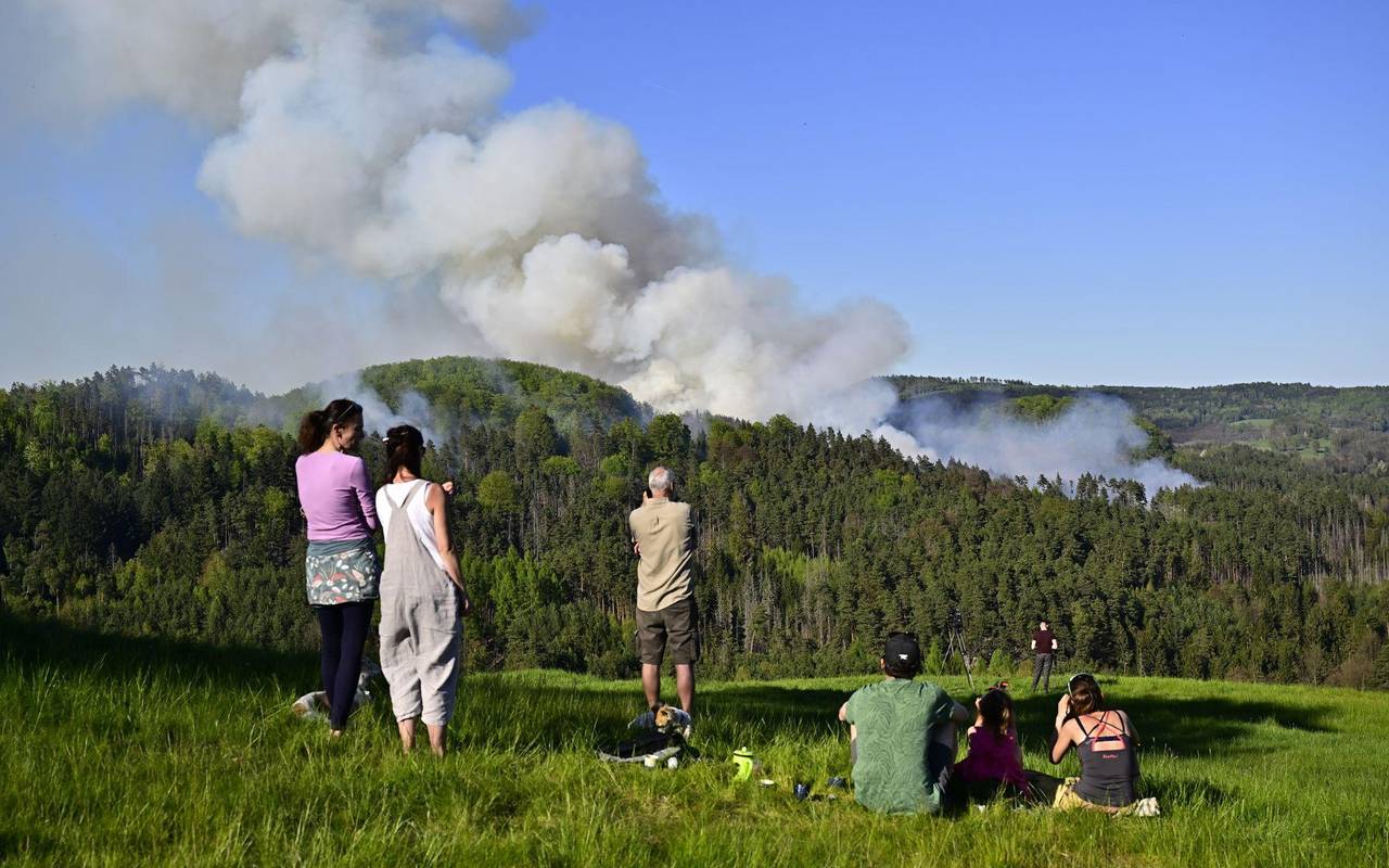 Waldbrand im Nationalpark Böhmische Schweiz