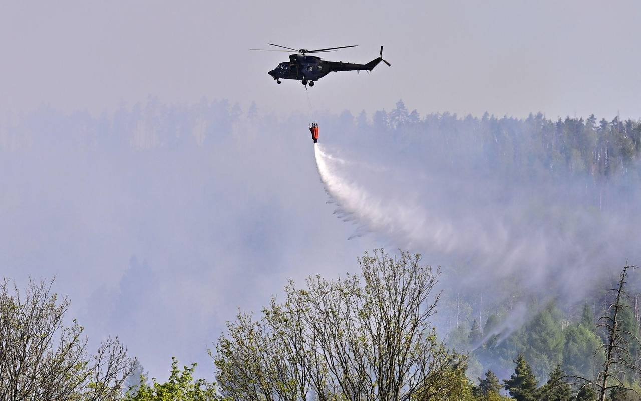 Waldbrand im Nationalpark Böhmische Schweiz
