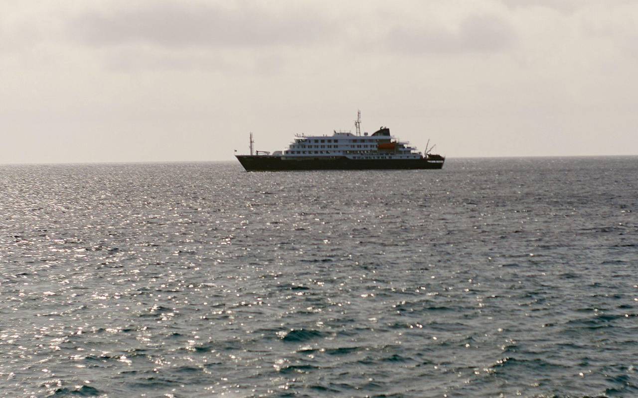 Drei Tote nach Hantavirus-Ausbruch auf Kreuzfahrtschiff
