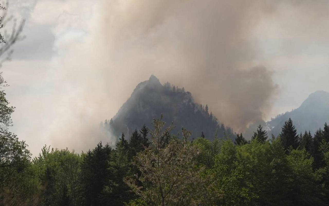 Waldbrand am Saurüsselkopf