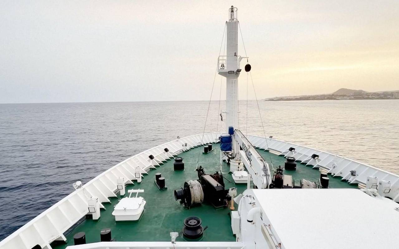 Drei Tote nach Hantavirus-Ausbruch auf Kreuzfahrtschiff