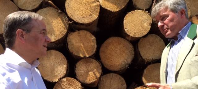 10 Millionen für kranke Wälder